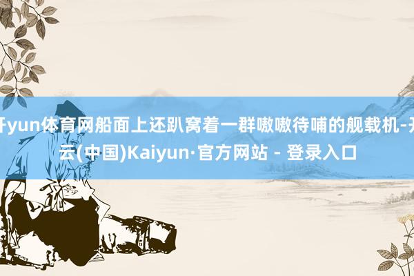 开yun体育网船面上还趴窝着一群嗷嗷待哺的舰载机-开云(中国)Kaiyun·官方网站 - 登录入口